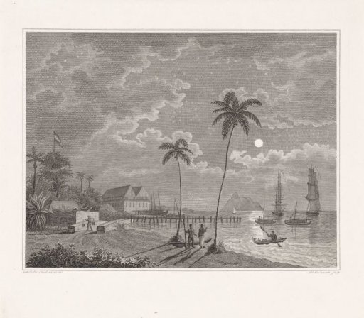 Ships off the coast of a tropical country, by night