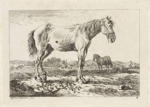 Standing Horse in a Landscape