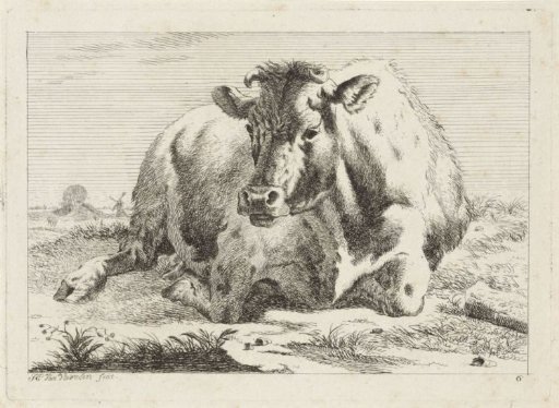 Lying Cow