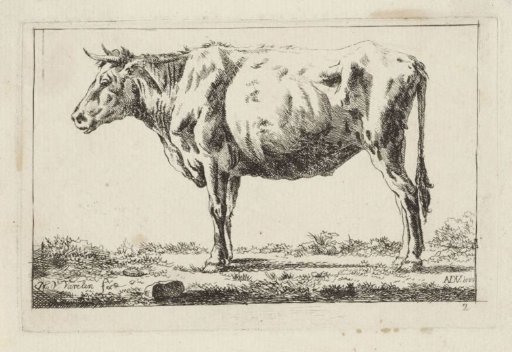Standing ox, facing left