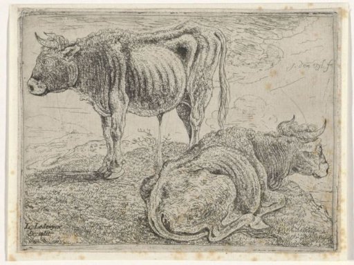 Two Oxen