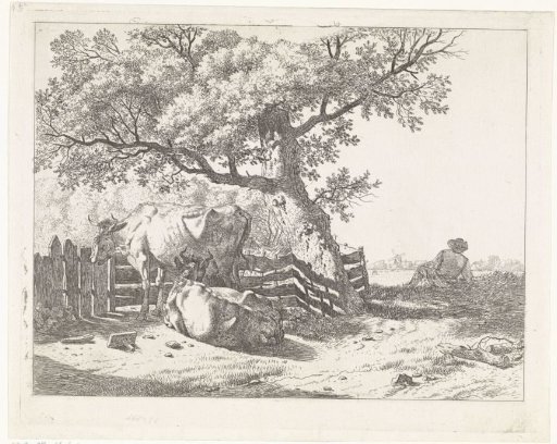 Two cows at a fence