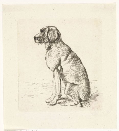 Seated dog