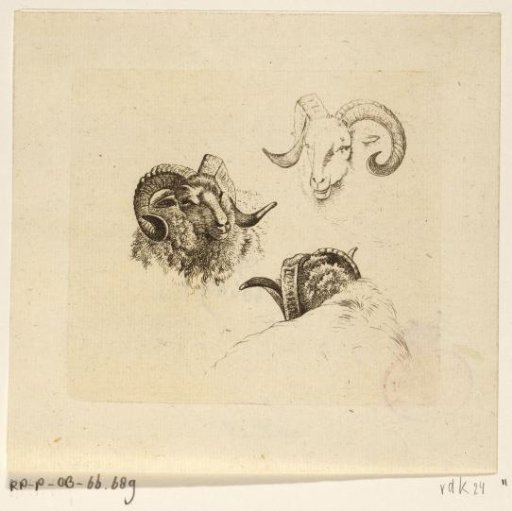 Three ram's heads
