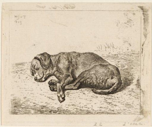 Sleeping dog to the left