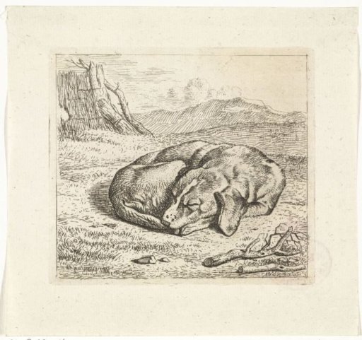Sleeping dog in a landscape