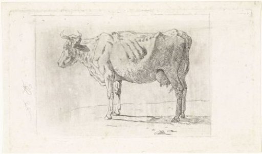 Standing cow, to the left