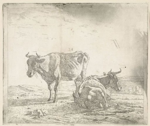 Meadow with a standing and lying cow