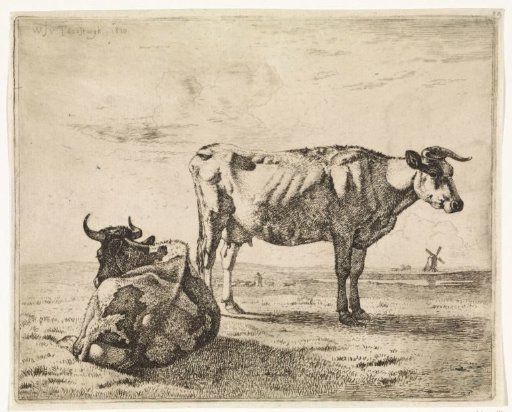 Lying and standing cow in a meadow