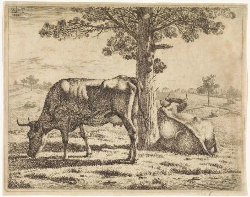 Two cows by a tree