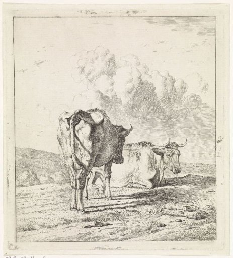 Lying and standing cow to the right