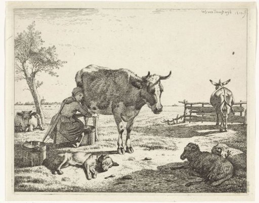 Milkmaid