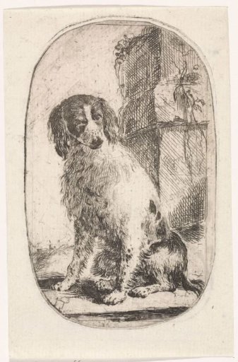 Sitting Spaniel