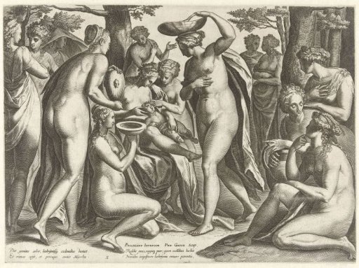 Education of Adonis