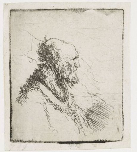 Bald Old Man with a Short Beard
