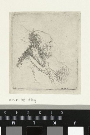 Bald old man with a short beard, in profile right
