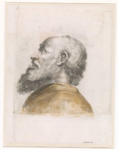 Head of a Man with a Beard, Profile to the Left
