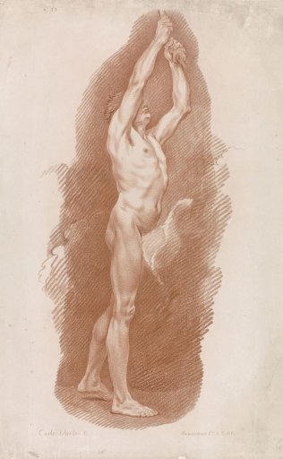 Standing male nude