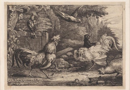 Birds and a Monkey