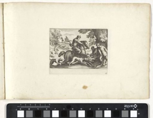 Boar Hunt