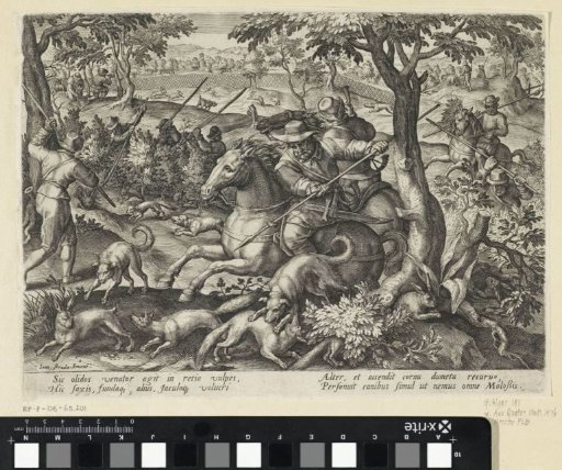 Fox Hunt