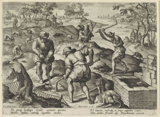 Badger Hunt