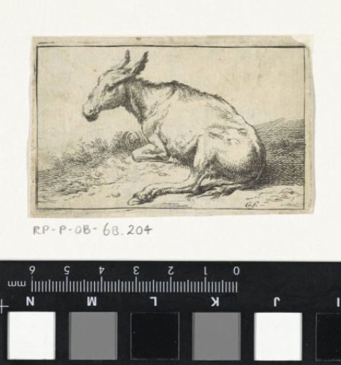 Recumbent donkey