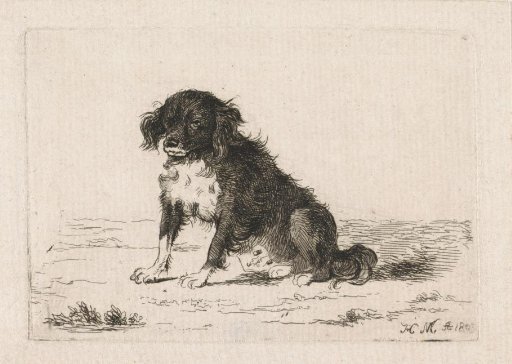 Seated dog