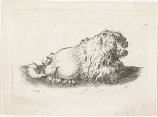 Shaved Dog Lying to the Right