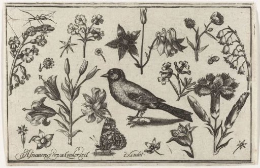 Flowers, butterfly and a bird