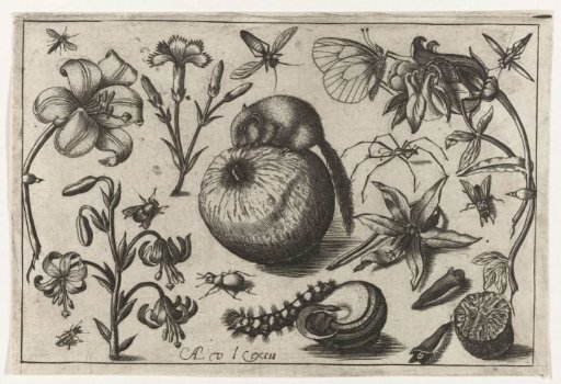 Flowers and a mouse on an apple