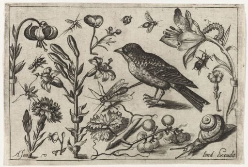 Flowers, a snail and a bird