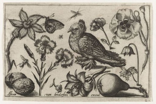 Flowers, a pear and a dove