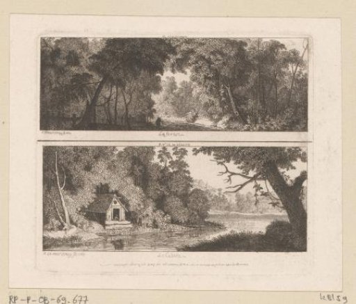 Two Forest Views