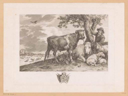 Bull with farmer and herd in a landscape