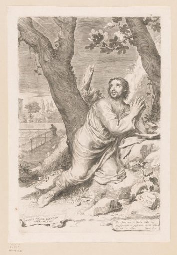 Praying Saint Augustine