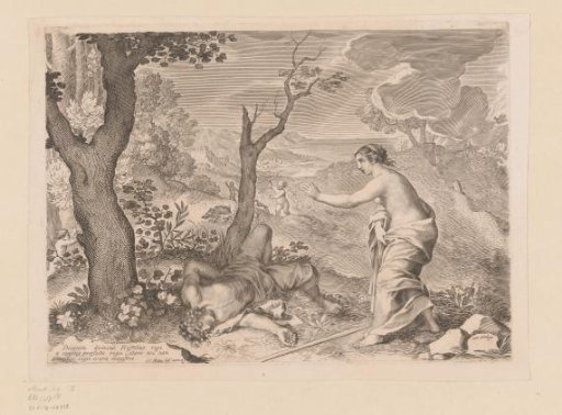 Venus by the dead Adonis