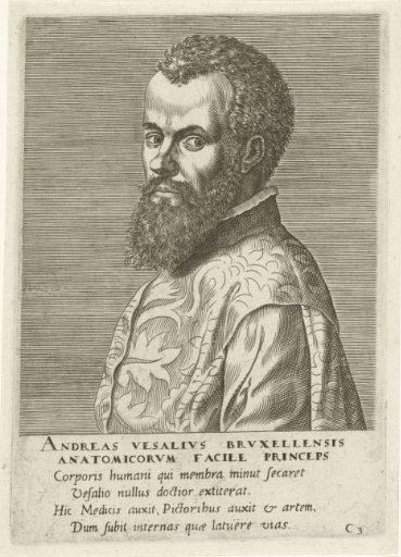 Portrait of Andreas Vesalius