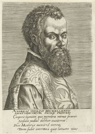 Portrait of Andreas Vesalius