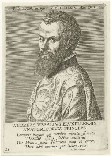 Portrait of Andreas Vesalius