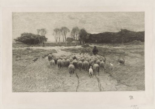 Shepherd