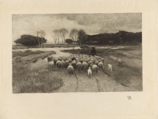 Shepherd