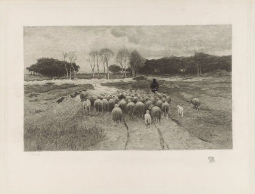 Shepherd