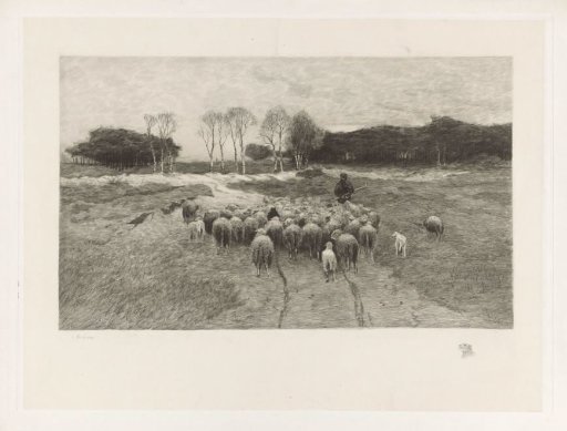 Shepherd