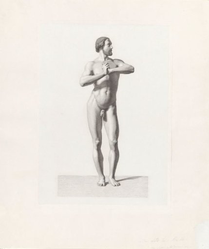 Standing male nude