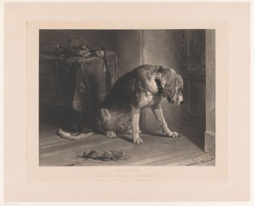 Dog Waiting by a Door