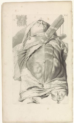 Second anatomical study of the abdomen of a woman