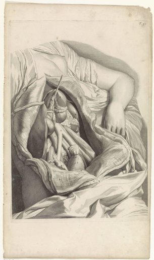 Anatomical study of the viscera of a woman