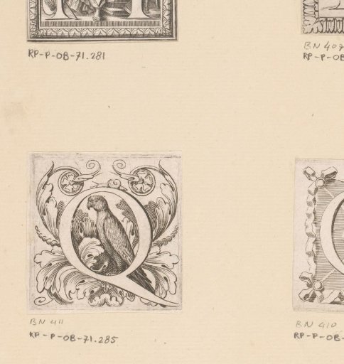 Letter Q with a parrot
