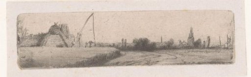 Wheat field